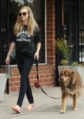 Amanda Seyfried walks her dog in Woodland Hills, California