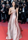 Bella Hadid at the premiere of 'Ash is Purest White' during 71st Cannes Film Festival in Cannes, France