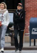 Marion Cotillard looks casual as she goes shopping with a friend in New York City