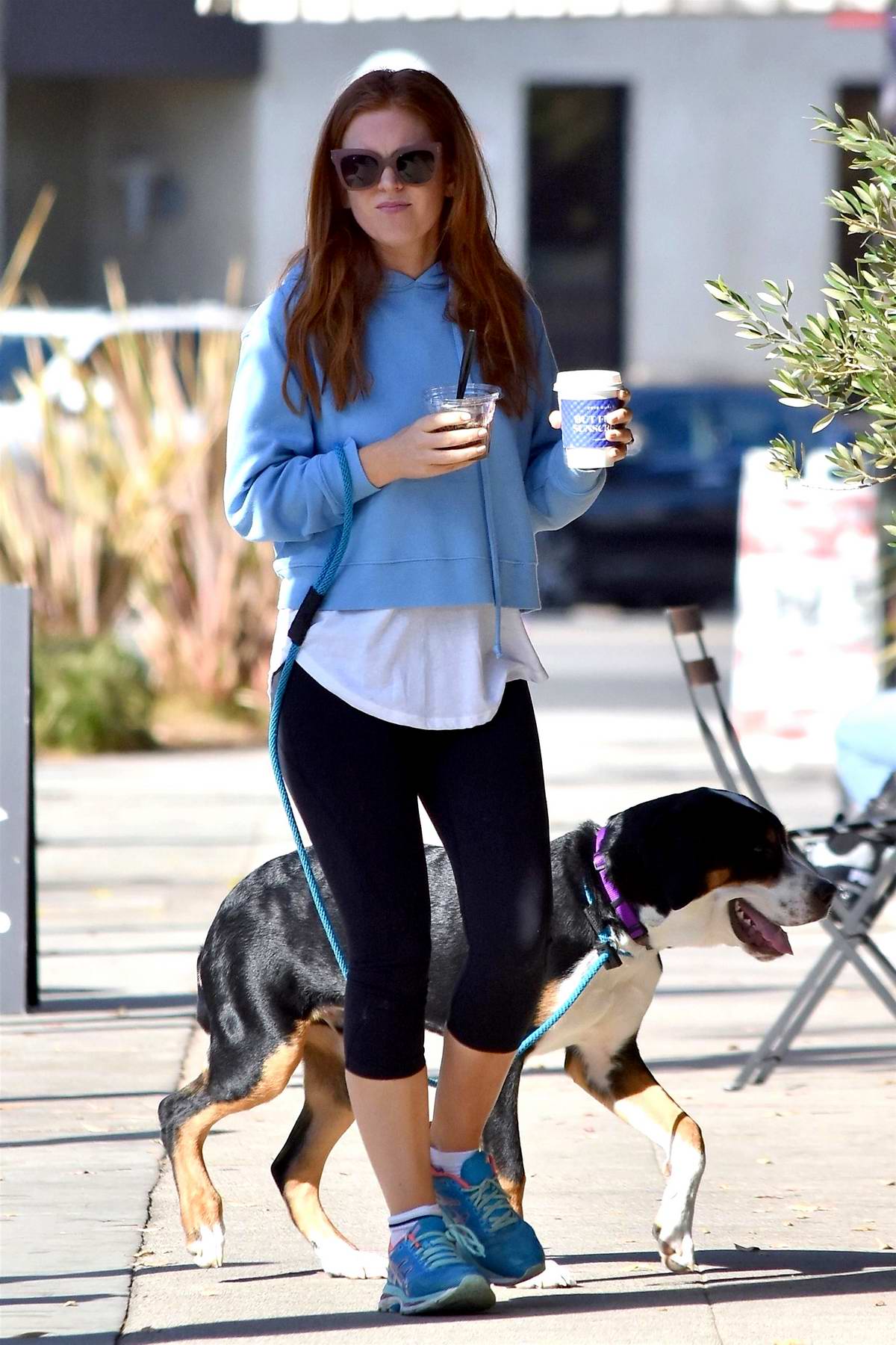 isla fisher wears a blue sweatshirt and black leggings during a coffee run  with her dog in studio city, los angeles-090119_6