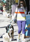 isla fisher wears a blue sweatshirt and black leggings during a coffee run  with her dog in studio city, los angeles-090119_6