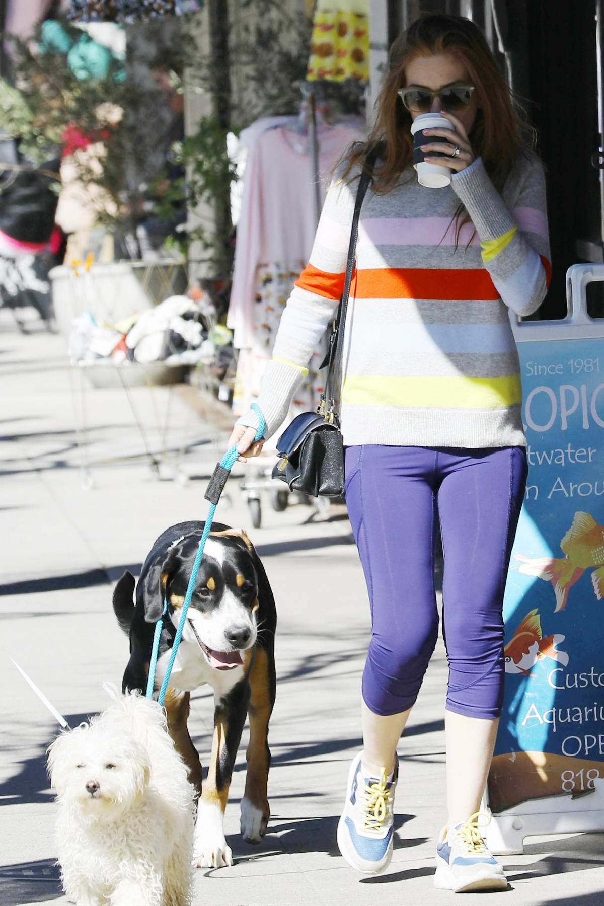 Isla Fisher keeps it casual in a sweater and leggings as she takes her dogs  out