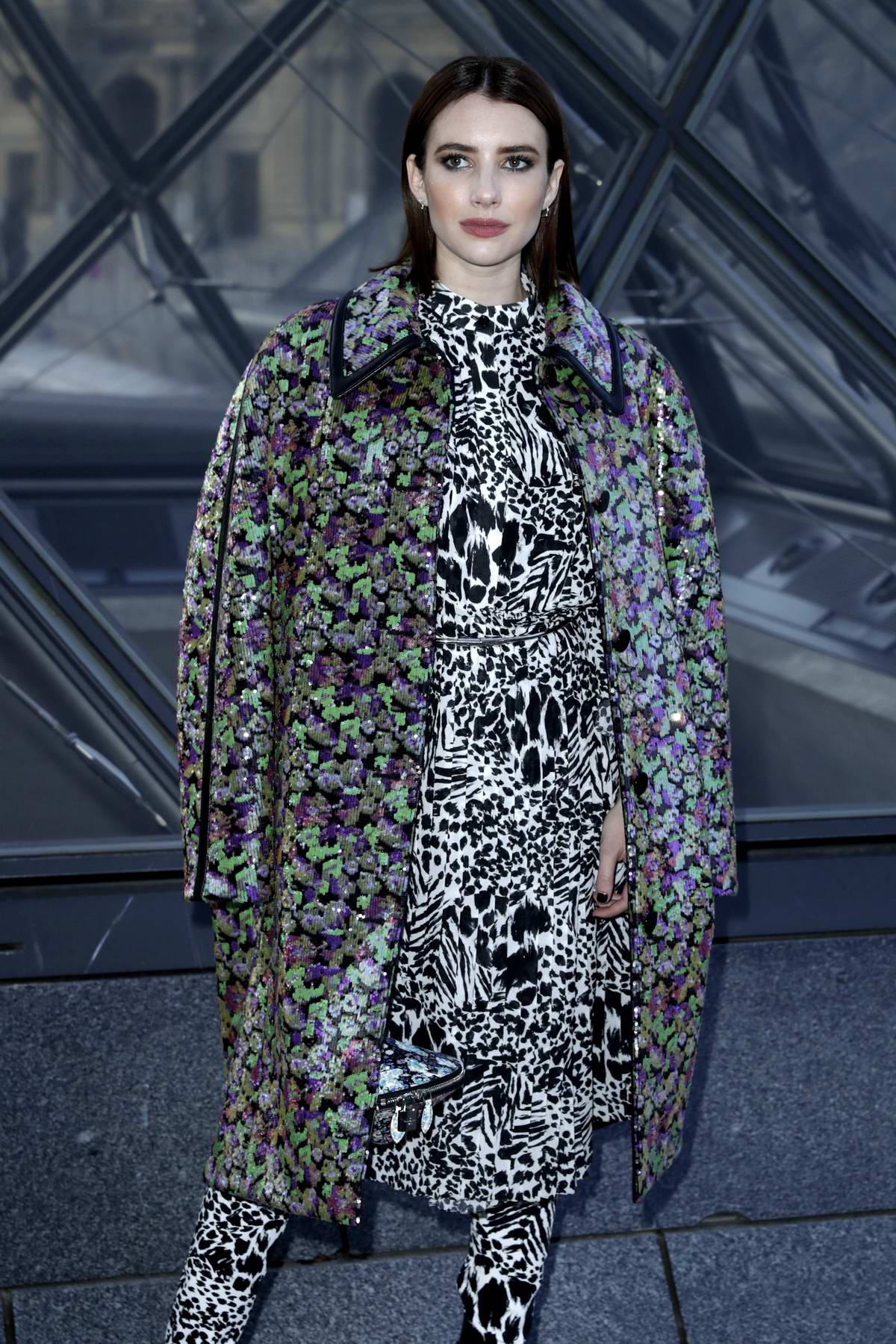 Emma Roberts attends the Louis Vuitton show as part of the Paris Fashion  Week Womenswear Fall/Winter 2019/2020 on March 05, 2019 in Paris, France.  Photo by Laurent Zabulon/ABACAPRESS.COM Stock Photo - Alamy