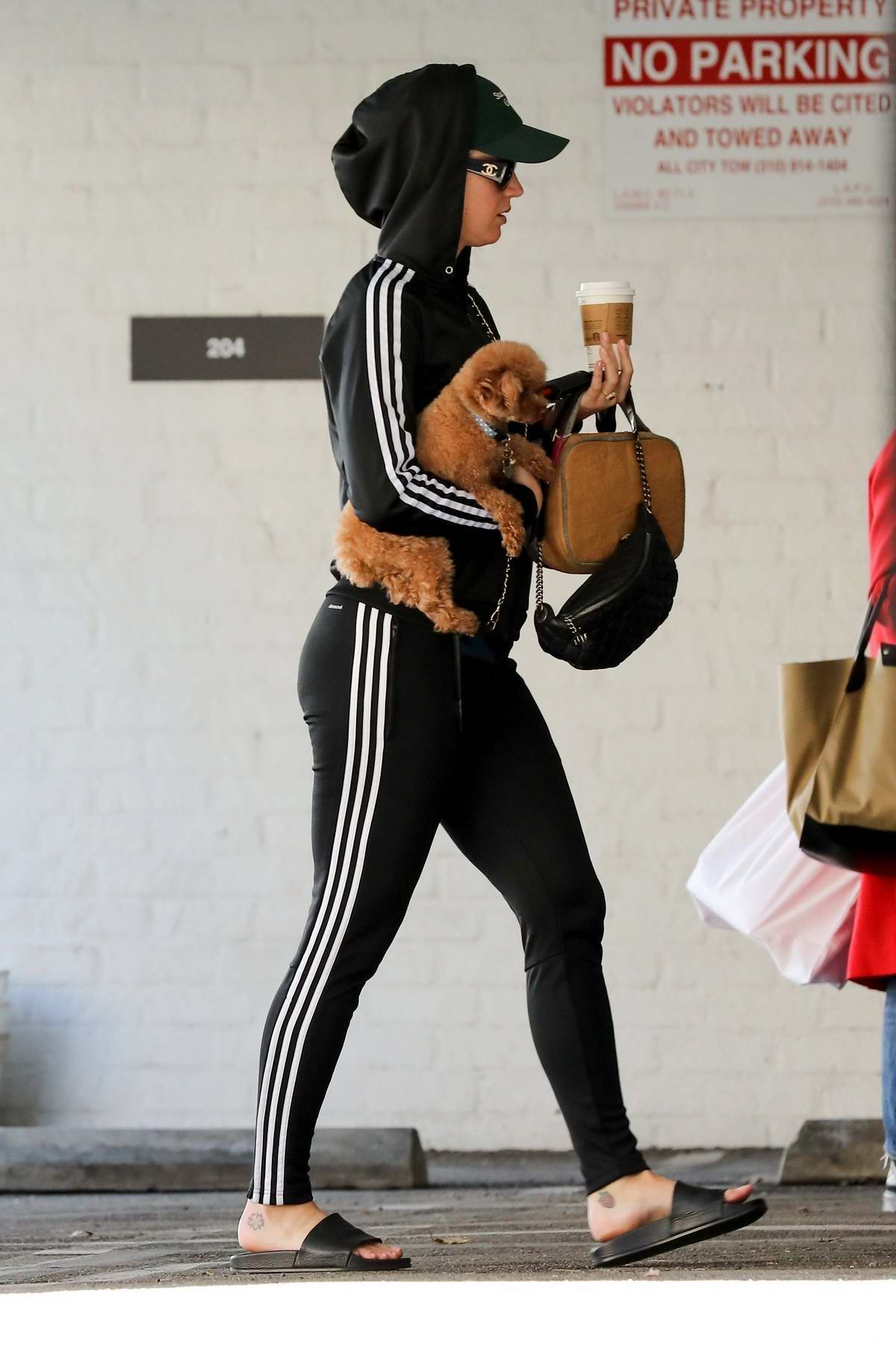 butiksindehaveren ankomst fordøje katy perry sports a black adidas hoodie with matching leggings while out  running errands with her dog in beverly hills, los angeles-030319_6
