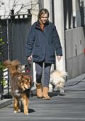 Amanda Seyfried walks her dog without a leash while texting on her cellphone in New York City