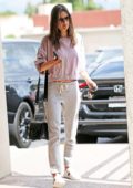 Alessandra Ambrosio steps out in a pink sweatshirt and grey