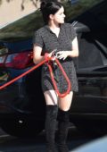 Ariel Winter takes her dog to the animal hospital in Los Angeles