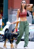 Emily Ratajkowski flaunts her toned midriff while for lunch with Sebastian Bear-McClard in New York City