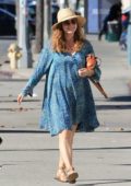 Amy Adams looks beautiful in a blue dress while out for lunch with husband Darren Le Gallo in Beverly Hills, Los Angeles