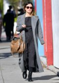 Rachel Bilson looks stylish as she steps out for lunch with friends in Beverly Hills, California