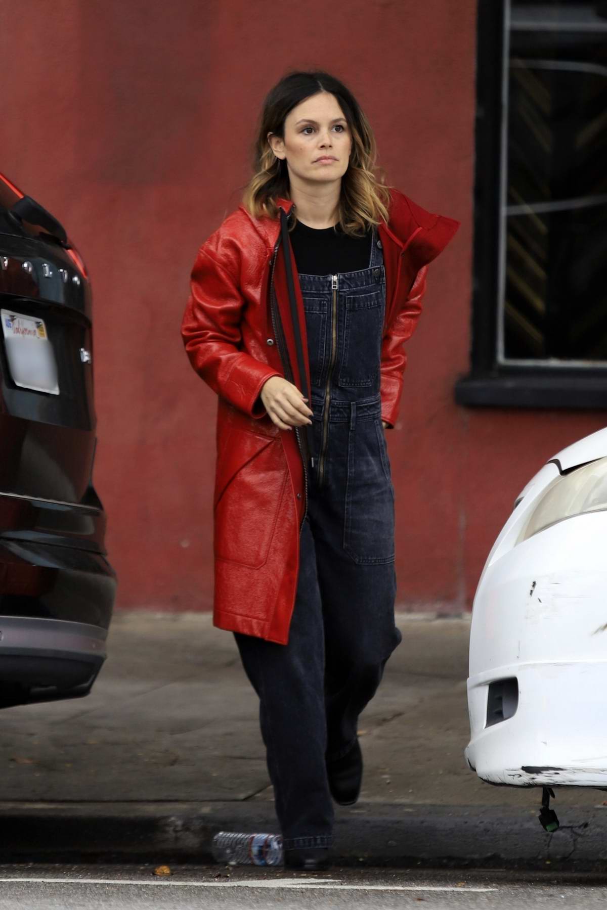 Rachel Bilson Shopping in Los Angeles January 28, 2011 – Star Style