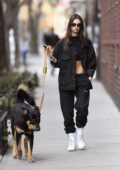 Emily Ratajkowski shows off chiseled abs in dangerously low-rise pants on  stroll with dog Colombo near NYC home
