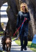 Julia Roberts wears mechanic coveralls and no mask walking her dogs in Malibu, California