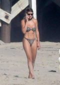Sofia Richie wears a leopard print bikini while tanning at the beach in Malibu, California
