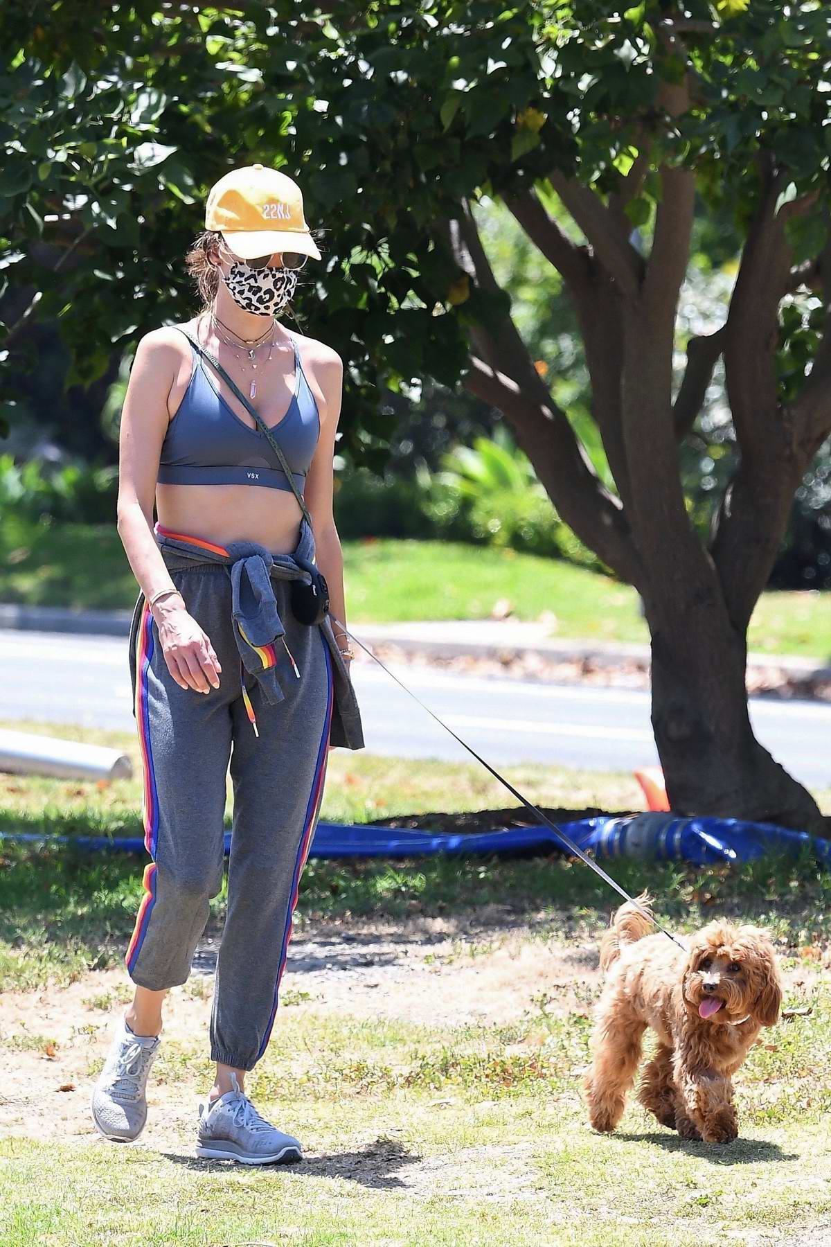 alessandra ambrosio looks fab in a vsx sports bra while out to walk her ...