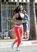 Eiza Gonzalez shows off her taut physique in a Nike sports bra and