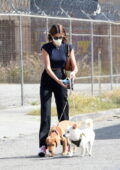 Kaia Gerber brings her two dogs to work for a photoshoot in Los Angeles