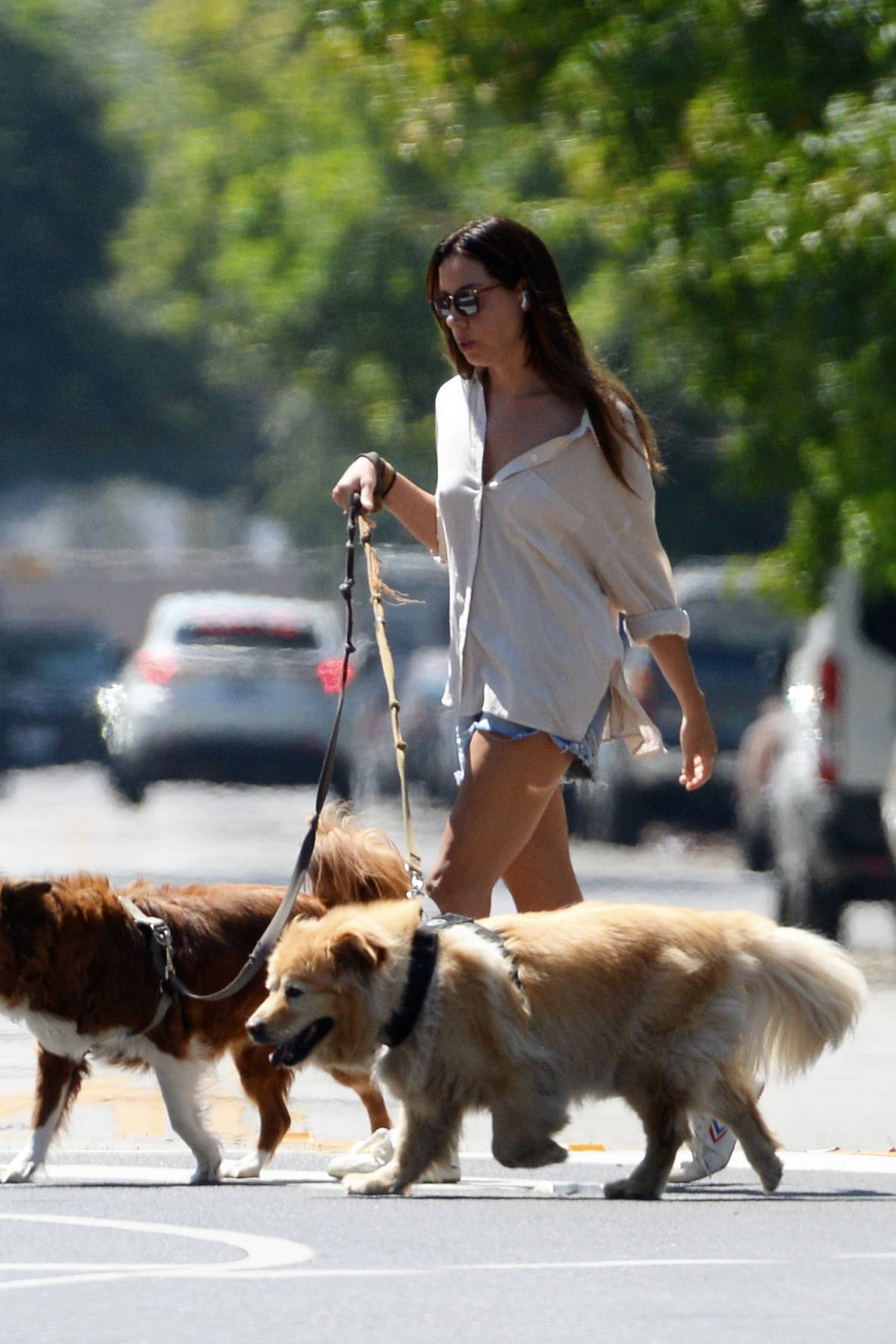 Aubrey Plaza wears a casual shirt and denim shorts while walking her dogs  in Los Feliz