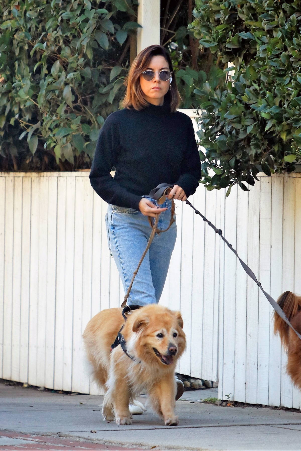 Aubrey Plaza takes her dogs out for a walk in Los Feliz, California