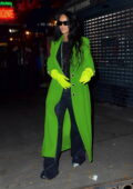 Rihanna looks striking in neon green as she steps out for dinner in New York City
