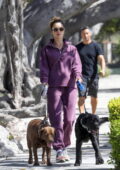 Alessandra Ambrosio dons purple sweats while out on a stroll with boyfriend Richard Lee and their dogs in Brentwood, California