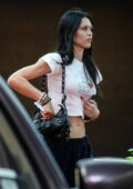 Amelia Hamlin flaunts her washboard abs in a crop top while heading to a  spa in Beverly Hills, California