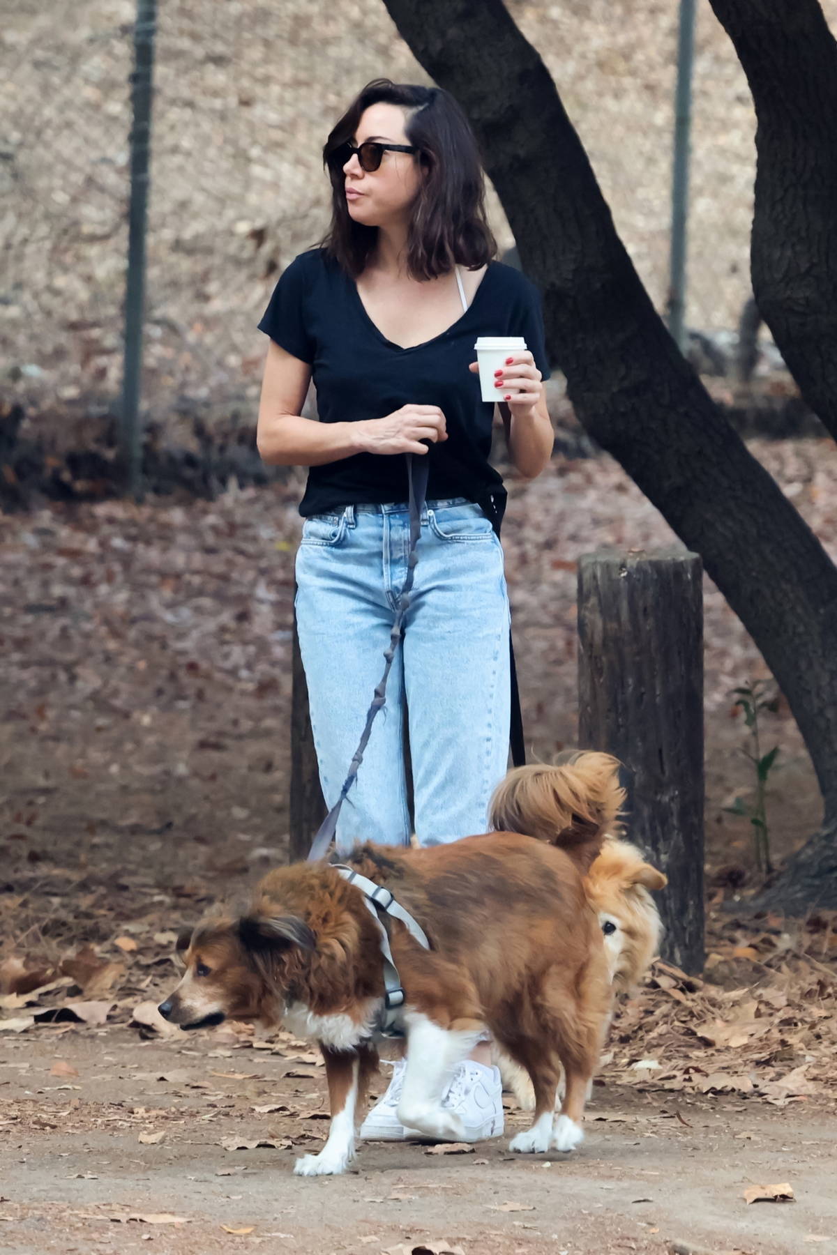 aubrey plaza wears a black tee and jeans while walking her dogs at a park  in los angeles-221022_8