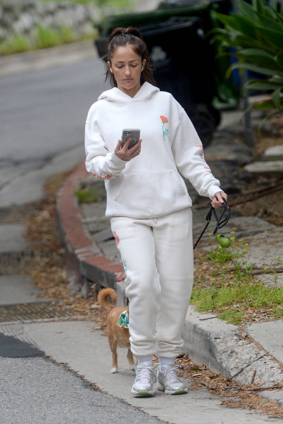 Shopping at A.P.C with her dog and a friend on Melrose Place in