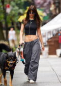 Emily Ratajkowski shows off her washboard abs in a black crop top and low-rise pants while out on a walk with her dog in New York City