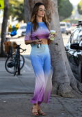 Alessandra Ambrosio looks radiant in a colorful outfit while stepping out for lunch in Venice, California
