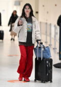 Emily Ratajkowski rocks red pants with matching Puma sneakers as she touches down at JFK airport in New York City