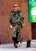 Irina Shayk looks fashionable in an animal print coat while out on a stroll with her adorable pup of New York City