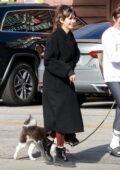 Nina Dobrev and Shaun White are all smiles meeting up with some friends for lunch at Little Dom's in Los Feliz, California