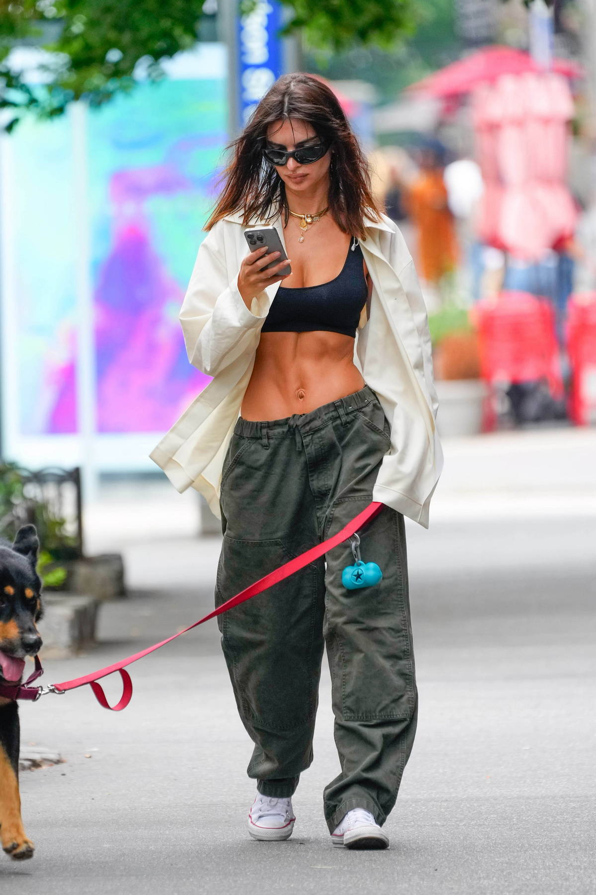 Emily Ratajkowski shows off her toned midriff in a black sports bra and cargo pants while out walking her dog in New York City